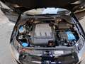 Volkswagen Polo 1.2 TDI 5 p. Comfortline "MOTORE KM 40.000"!!! Negro - thumbnail 19