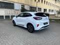 Ford Puma ST Line 1.0 EcoBoost mHEV Blanc - thumbnail 7