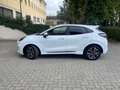 Ford Puma ST Line 1.0 EcoBoost mHEV Blanc - thumbnail 8
