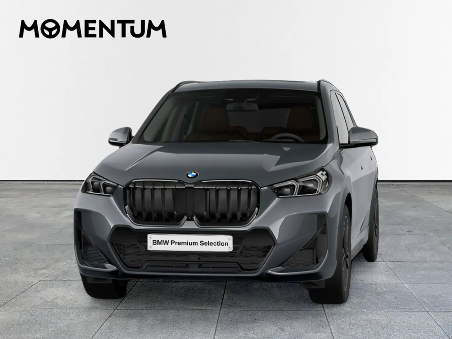 BMW X1 sDrive 18iA Gris - 1