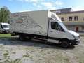 Mercedes-Benz Sprinter 519 CDI MAXI; PRITSCHE+PLANE; KLIMA Weiß - thumbnail 1