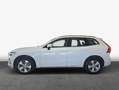 Volvo XC60 XC60 B5 D AWD Geartronic Momentum Pro Weiß - thumbnail 4