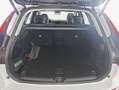 Volvo XC60 XC60 B5 D AWD Geartronic Momentum Pro Weiß - thumbnail 6