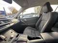 Lexus CT 200h Business Line NL-AUTO AD-CRUISE DAB+ PARK-SENSOR N Gris - thumbnail 29