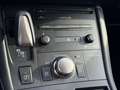 Lexus CT 200h Business Line NL-AUTO AD-CRUISE DAB+ PARK-SENSOR N Gris - thumbnail 26