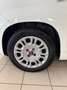 Fiat Panda 1.0 FireFly S&S Hybrid Bianco - thumbnail 7