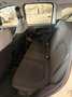 Fiat Panda 1.0 FireFly S&S Hybrid Bianco - thumbnail 6