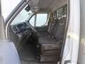 Iveco Daily 35S16 2.3 Automaat Open Laadbak Airco Adaptieve Cr Wit - thumbnail 7