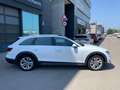 Audi A4 allroad 40 TDI quattro S-Tronic 140kW Blanc - thumbnail 3