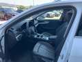 Audi A4 allroad 40 TDI quattro S-Tronic 140kW Blanc - thumbnail 9