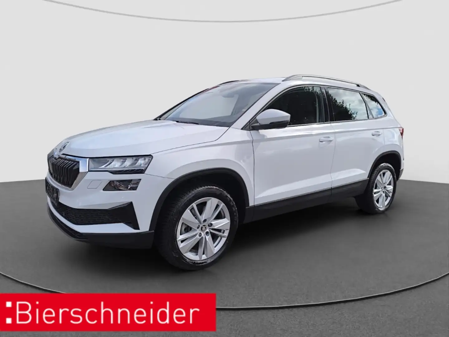 Skoda Karoq 1.5 TSI DSG Selection LED RFK PDC Weiß - 1