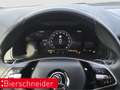 Skoda Karoq 1.5 TSI DSG Selection LED RFK PDC Weiß - thumbnail 14
