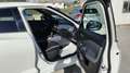 Nissan Juke Juke II 2020 1.0 dig-t N-Connecta 114cv dct Wit - thumbnail 23