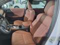 Mitsubishi Outlander 2.4 PHEV 100 kW S-AWC Top Luxury Weiß - thumbnail 22