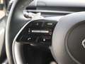 Hyundai STARIA Staria Prime  9-Sitzer   2.2 CRDi Automatik Grau - thumbnail 32