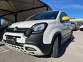Fiat Panda Fiat Pandina CROSS 1.0 FireFly S&S Hybrid 70CV Blanc - thumbnail 17