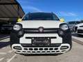 Fiat Panda Fiat Pandina CROSS 1.0 FireFly S&S Hybrid 70CV Blanc - thumbnail 2
