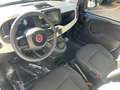 Fiat Panda Fiat Pandina CROSS 1.0 FireFly S&S Hybrid 70CV Blanc - thumbnail 6