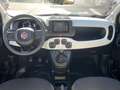 Fiat Panda Fiat Pandina CROSS 1.0 FireFly S&S Hybrid 70CV Blanc - thumbnail 22