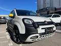 Fiat Panda Fiat Pandina CROSS 1.0 FireFly S&S Hybrid 70CV Blanc - thumbnail 1