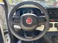 Fiat Panda Fiat Pandina CROSS 1.0 FireFly S&S Hybrid 70CV Blanc - thumbnail 8