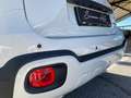 Fiat Panda Fiat Pandina CROSS 1.0 FireFly S&S Hybrid 70CV Blanc - thumbnail 5