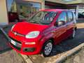 Fiat Panda Panda 1.2 Pop 69cv E6 Rouge - thumbnail 1