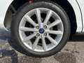 Ford B-Max 1.6 105CV POW. BUSINESS TITANIUM Weiß - thumbnail 8
