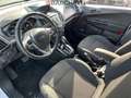 Ford B-Max 1.6 105CV POW. BUSINESS TITANIUM Bianco - thumbnail 11