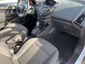 Ford B-Max 1.6 105CV POW. BUSINESS TITANIUM Bianco - thumbnail 13