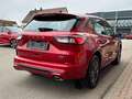 Ford Kuga Plug-In Hybrid ST-Line /ACC/Ergonomiesitze vorn Rood - thumbnail 8