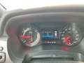 Ford Ranger Raptor Ranger Doppelkabine Raptor 4x4 2,0 EcoBlue Aut. Grau - thumbnail 12