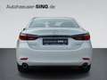 Mazda 6 Homura Automatik BOSE Keyless 360° Schiebedach Blanc - thumbnail 4