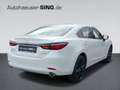 Mazda 6 Homura Automatik BOSE Keyless 360° Schiebedach Blanc - thumbnail 5