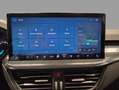 Ford Focus Sportbreak 1.0 Ecoboost MHEV ST-Line X 155 Aut. Gris - thumbnail 27