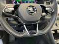 Skoda Kodiaq Sportline 2.0 TDI DSG 4x4 4xSitzheizung LM Grau - thumbnail 21