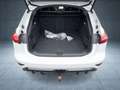 Audi Sonstige performance S line/AHK/B&O/Pano/ Weiß - thumbnail 13