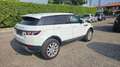 Land Rover Range Rover Evoque 2.2 TD4 5p. Prestige Bianco - thumbnail 6