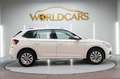 Skoda Kamiq 1.0 TSI Ambition 81kW DSG Blanco - thumbnail 4