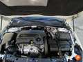 Opel Insignia GS 1.6 CDTi 100kW TD Innovatio Auto WLTP Blanco - thumbnail 16