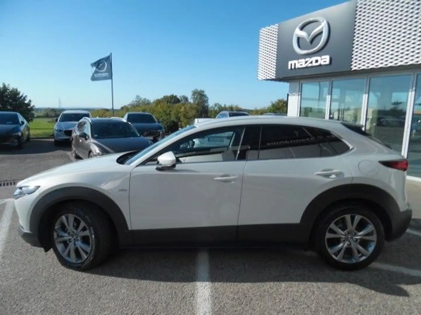 Mazda CX-30 e-SKYACTIV-G M-Hybrid Exclusive-Line A Weiß - 2