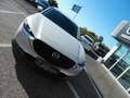 Mazda CX-30 e-SKYACTIV-G M-Hybrid Exclusive AT / Bose Wit - thumbnail 14