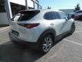 Mazda CX-30 e-SKYACTIV-G M-Hybrid Exclusive AT / Bose Wit - thumbnail 9