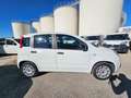 Fiat Panda 1.2 69CV Easy AUTOVETTURA Blanc - thumbnail 4