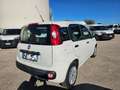 Fiat Panda 1.2 69CV Easy AUTOVETTURA Blanc - thumbnail 5