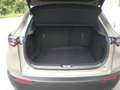Mazda CX-30 G140 Nagisa Braun - thumbnail 9