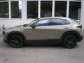 Mazda CX-30 G140 Nagisa Braun - thumbnail 13