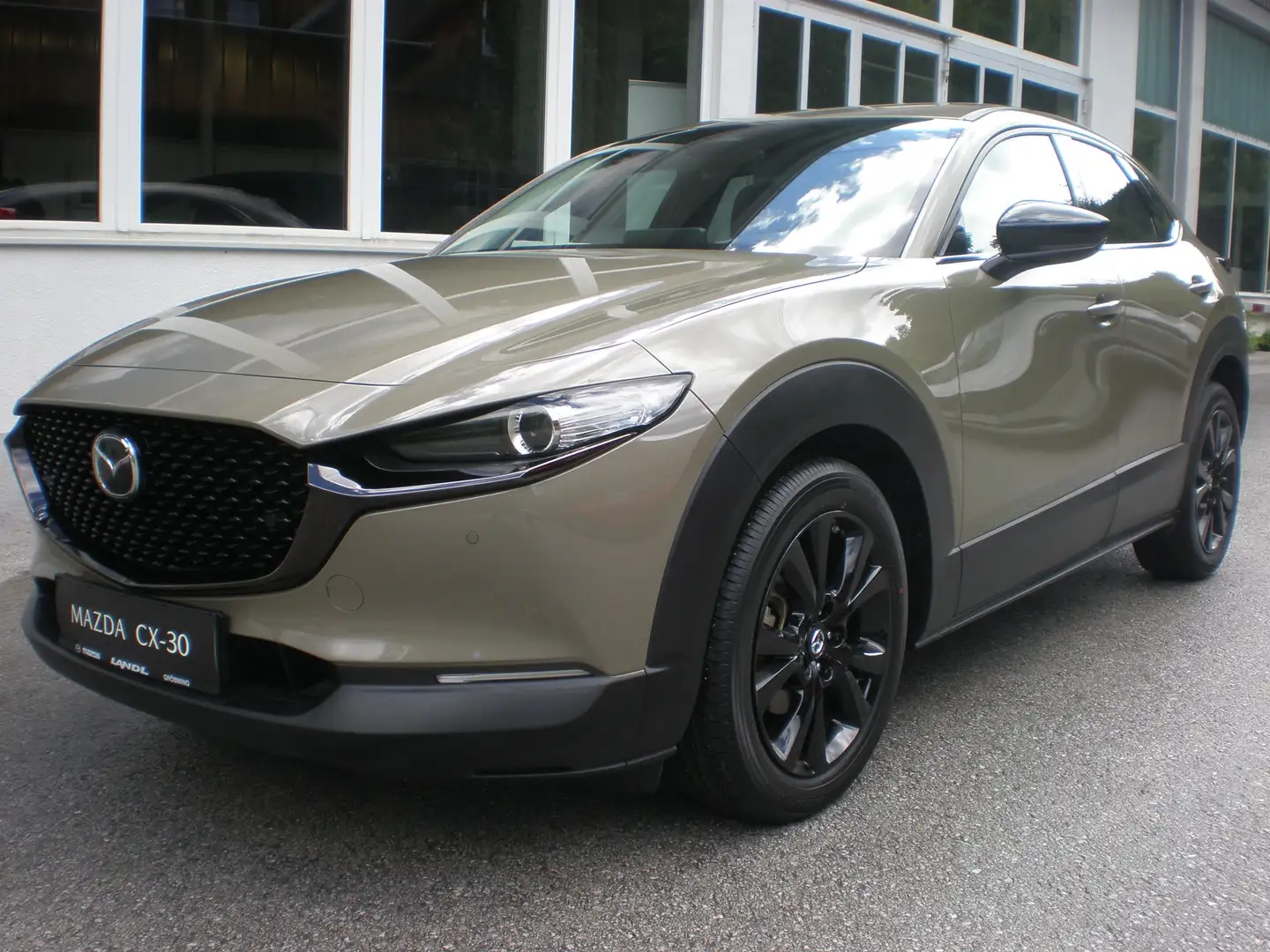 Mazda CX-30 G140 Nagisa Braun - 1