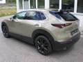 Mazda CX-30 G140 Nagisa Braun - thumbnail 10