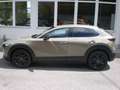 Mazda CX-30 G140 Nagisa Braun - thumbnail 14